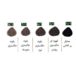 رنگ مو نچرال گروه رنگ خاکستری - Image 2