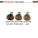 رنگ مو نچرال گروه رنگ دودی طبیعی - Image 2