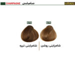 رنگ مو نچرال گروه رنگ شامپاینی - Image 2