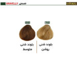 رنگ مو نچرال گروه رنگ شنی - Image 2