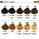رنگ مو نچرال گروه رنگ طبیعی - Image 2