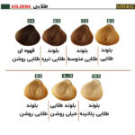 رنگ مو نچرال گروه رنگ طلایی - Image 2