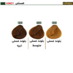رنگ مو نچرال گروه رنگ عسلی - Image 2