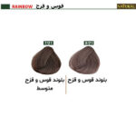 رنگ مو نچرال گروه رنگ قوس و قزح - Image 2