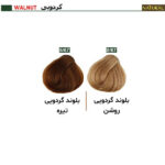 رنگ مو نچرال گروه رنگ گردویی - Image 2