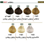 رنگ موی نچرال گروه رنگ زیتونی - Image 2