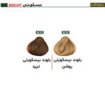 رنگ مو نچرال گروه رنگ بیسکویتی - Image 2