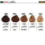 رنگ مو نچرال گروه رنگ شکلاتی - Image 2
