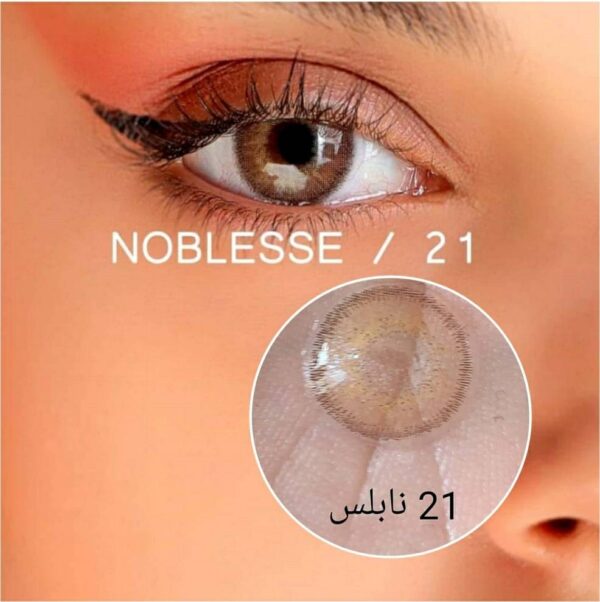 -نابلس-شماره-21.jpg لنز رنگی نابلس شماره 21 - Image 1