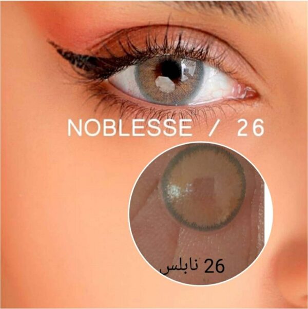 -نابلس-شماره-26.jpg لنز رنگی نابلس شماره 26 - Image 1