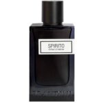 عطروادکلن مردانه اسپیریتو برندینی | Brandini Spirito - Image 2