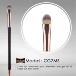 براش میچانو کانسیلر CG7MS